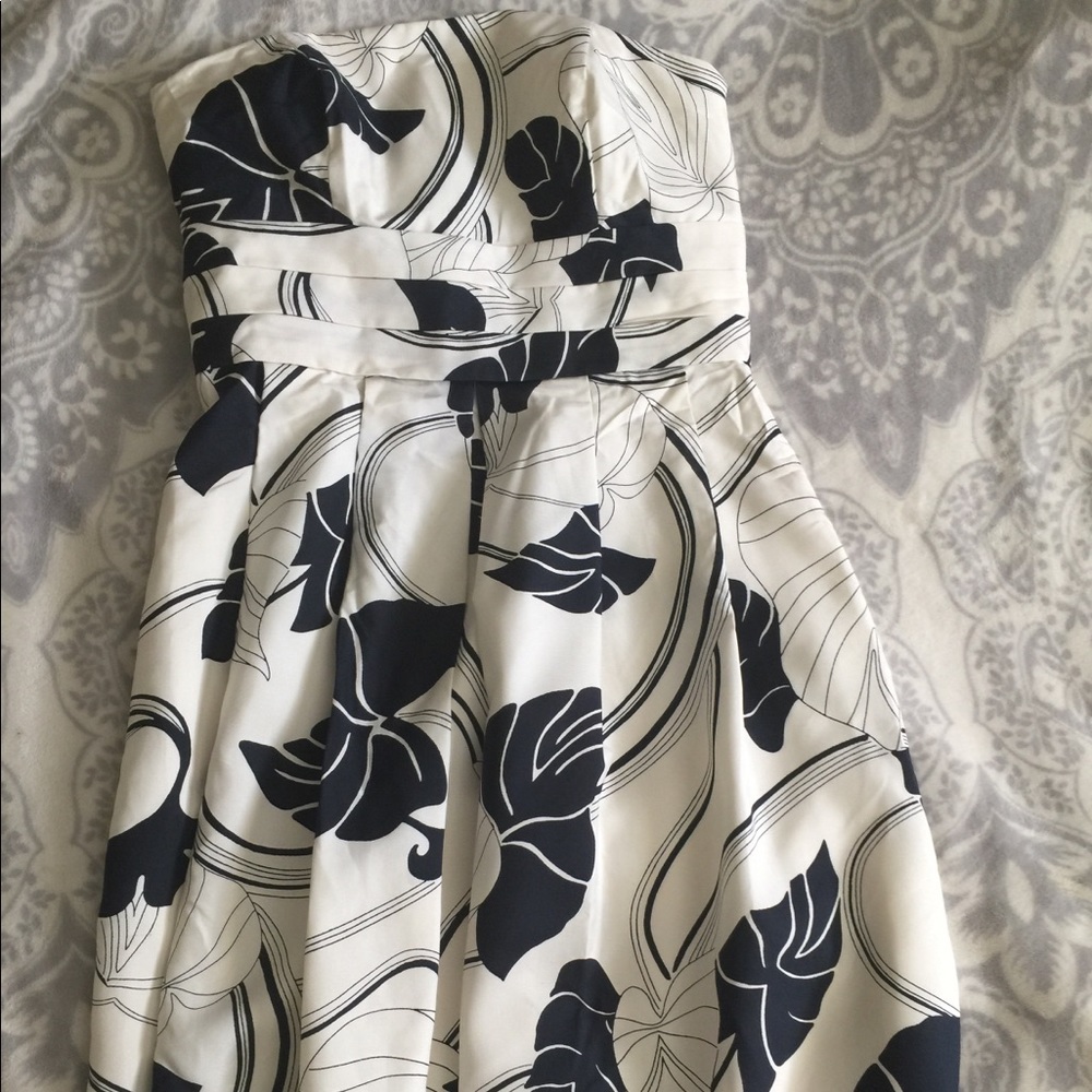 Beautiful Ann Taylor dress